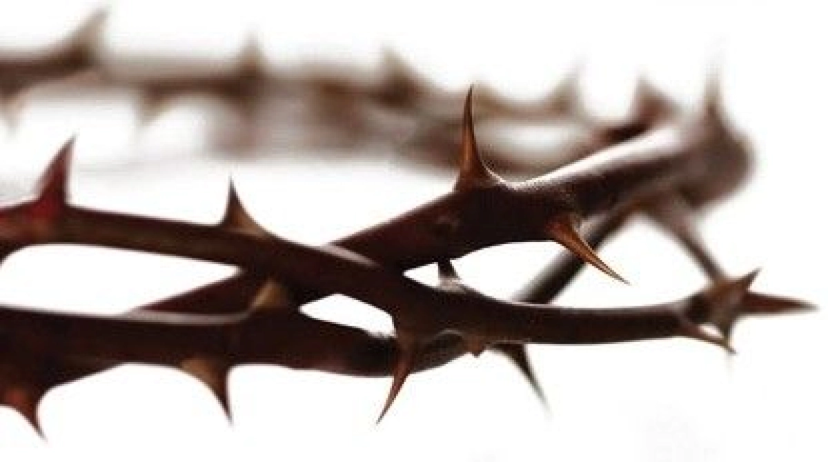 Matthäus Passion - Luthers Bach Ensemble